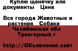 Куплю щенячку или документы › Цена ­ 3 000 - Все города Животные и растения » Собаки   . Челябинская обл.,Трехгорный г.